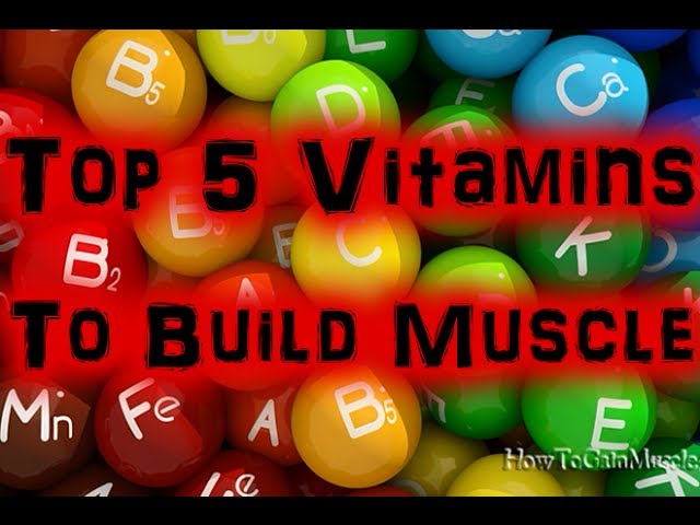 You are currently viewing Top 5 Vitamins to Build Muscle & Gain Weight [HD]