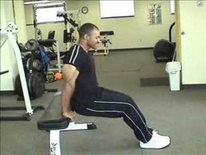 Read more about the article Tricep Dips