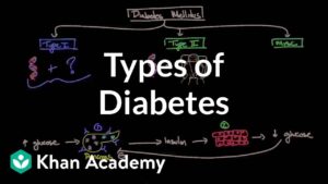 Endocrine System Diabetes And Asanas Video – 4