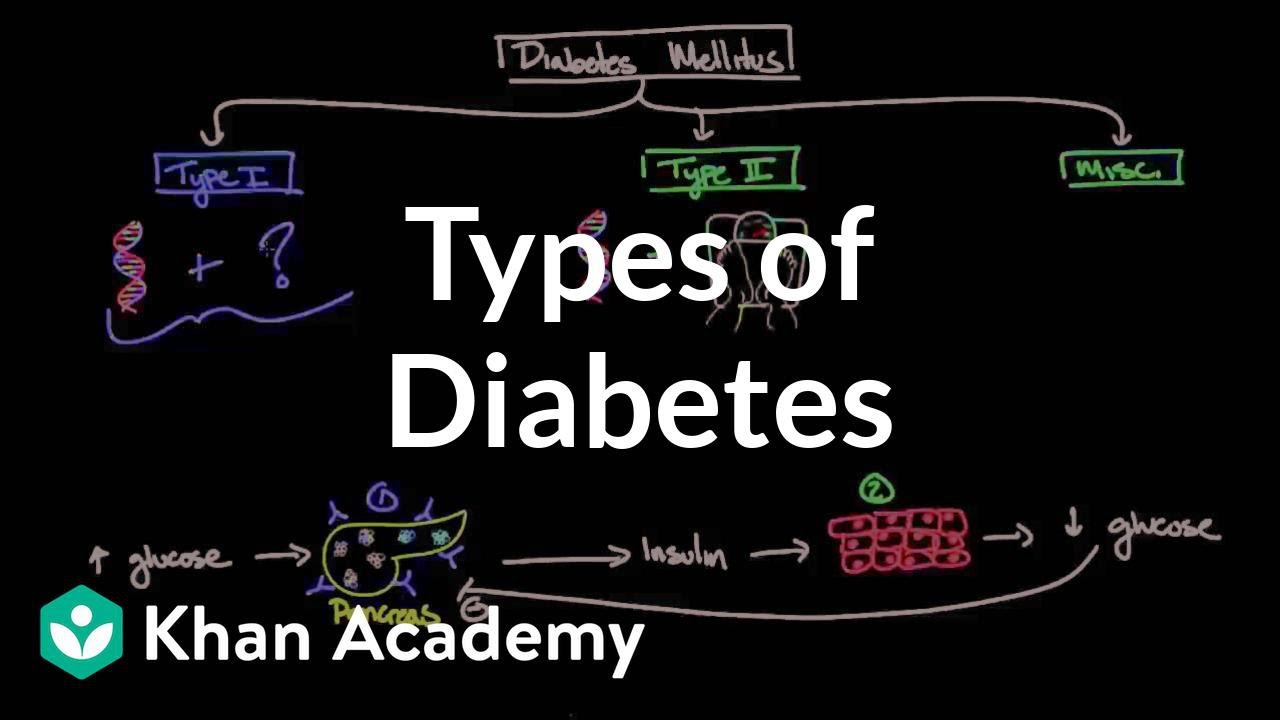 You are currently viewing Endocrine System Diabetes And Asanas Video – 4
