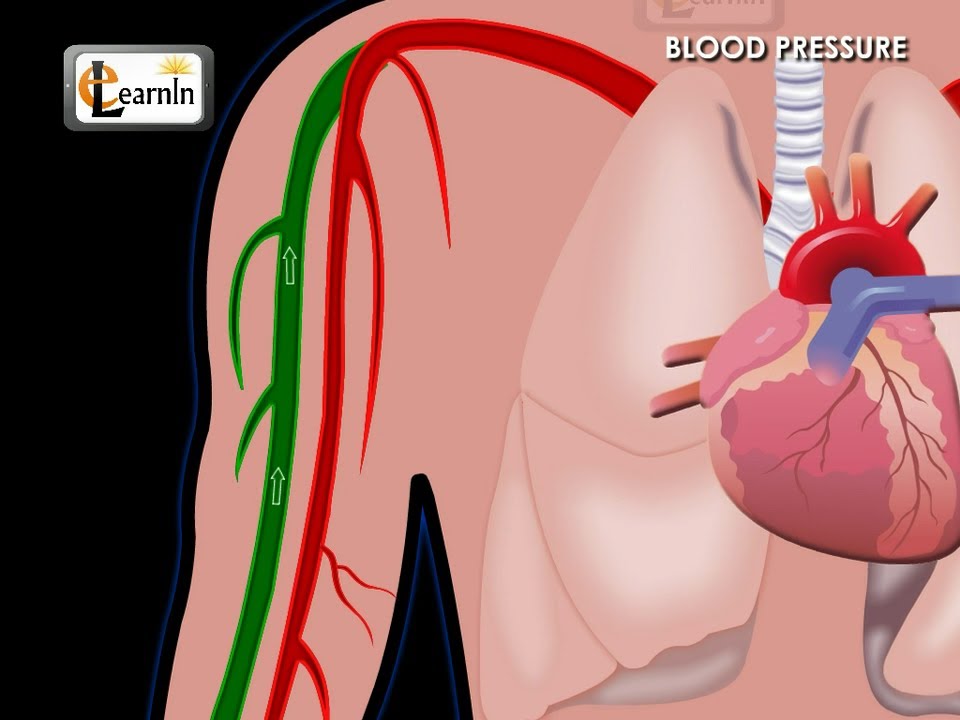 You are currently viewing Understanding Blood Pressure | Human Anatomy and Physiology video 3D animation | elearnin