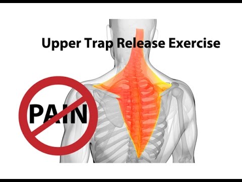 You are currently viewing Upper Trap Release Exercise for Instant Neck Pain Relief – Dr Mandell