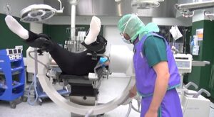 Urology Surgery Video – 2