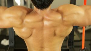 Read more about the article V-Shape Back Workout