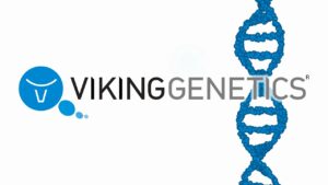 VikingGenetics – adding value every day (English Version)