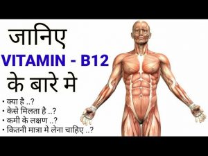 Read more about the article Vitamin B12 Functions In Our Body |Hindi| Vitamin B12 Source – Supplements