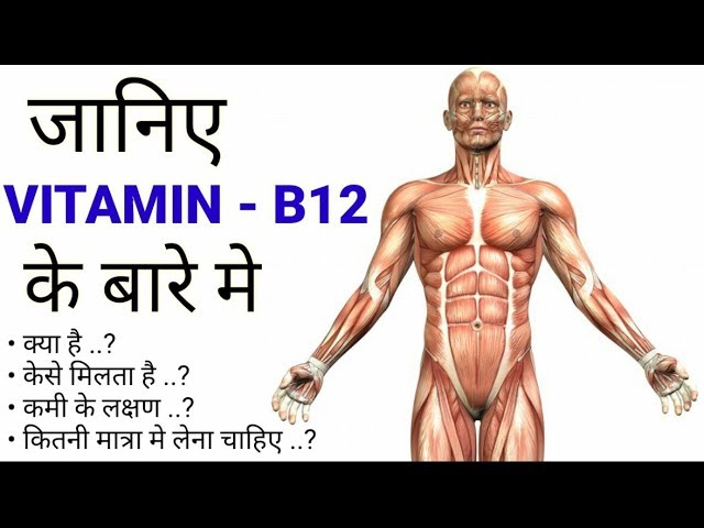 You are currently viewing Vitamin B12 Functions In Our Body |Hindi| Vitamin B12 Source – Supplements