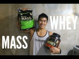 Read more about the article WHEY PROTEIN or MASS GAINER? (Tips for Beginner)
