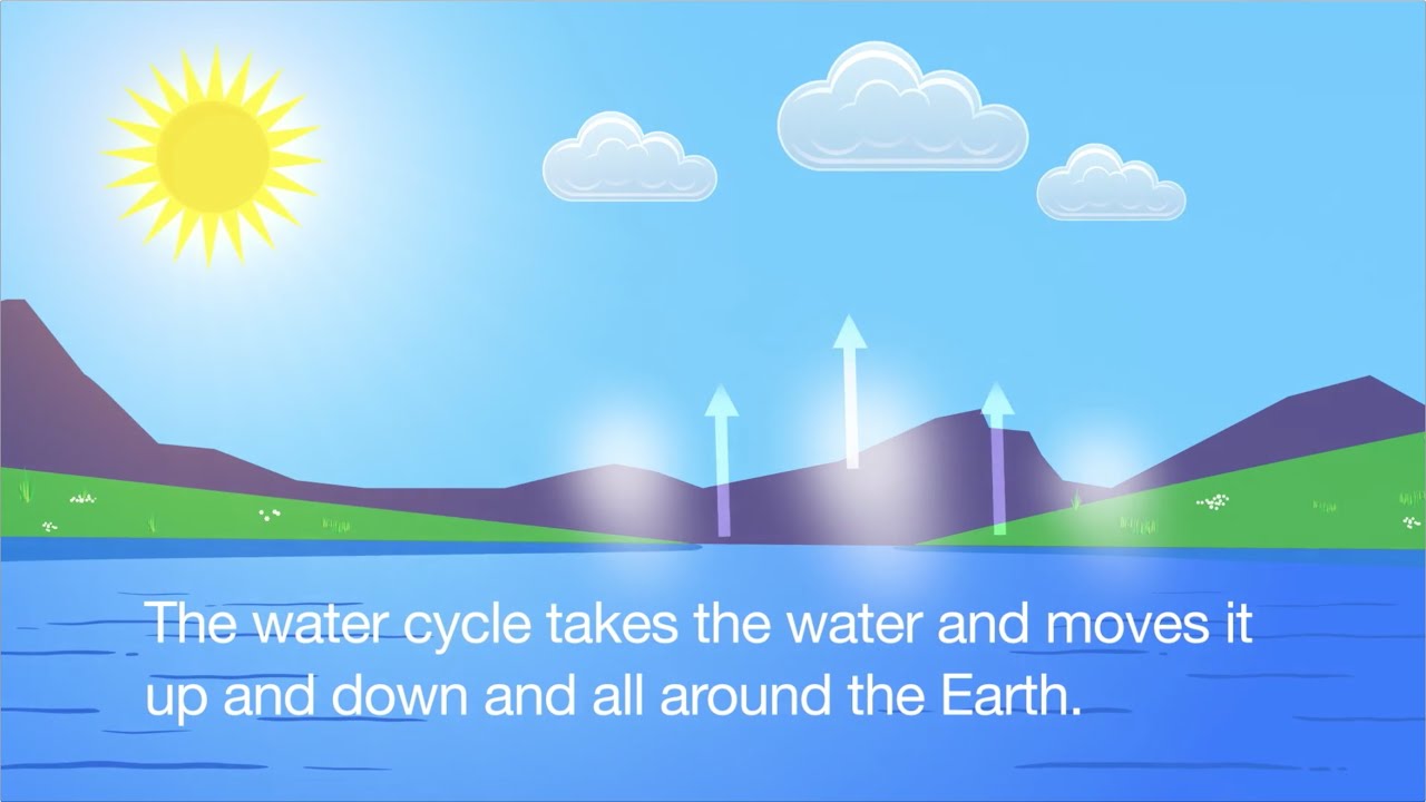 You are currently viewing Water Cycle Song