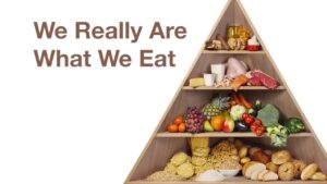 Read more about the article Foods Nutrition Video – 1