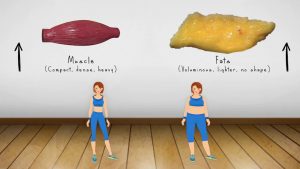 Read more about the article Weight Loss vs Fat Loss animated video/ Difference between fat and muscles