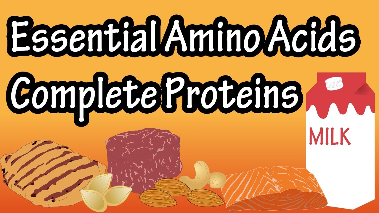 You are currently viewing What Are Complete Proteins, Incomplete Proteins, Essential Amino Acids, Non Essential Amino Acids