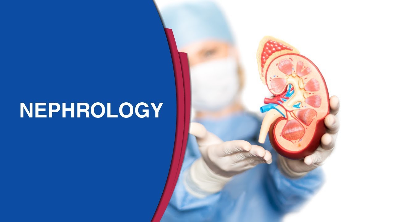 You are currently viewing What Are The Symptoms Of Chronic Kidney Disease? – Manipal Hospital