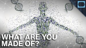 Read more about the article What Everything In Your Body Is Really Made Of? Genes Explained.