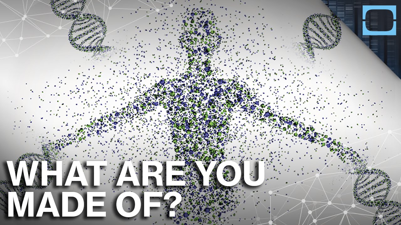 You are currently viewing What Everything In Your Body Is Really Made Of? Genes Explained.