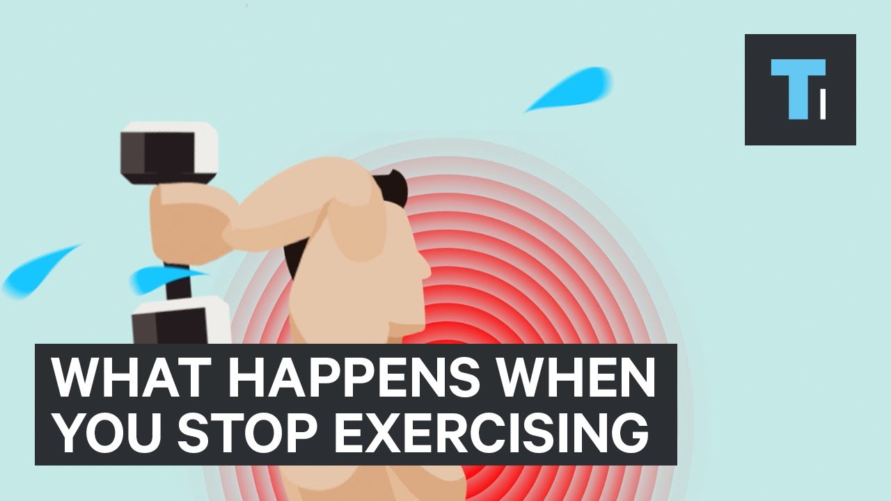 You are currently viewing What Happens To Your Body When You Stop Exercising | The Human Body