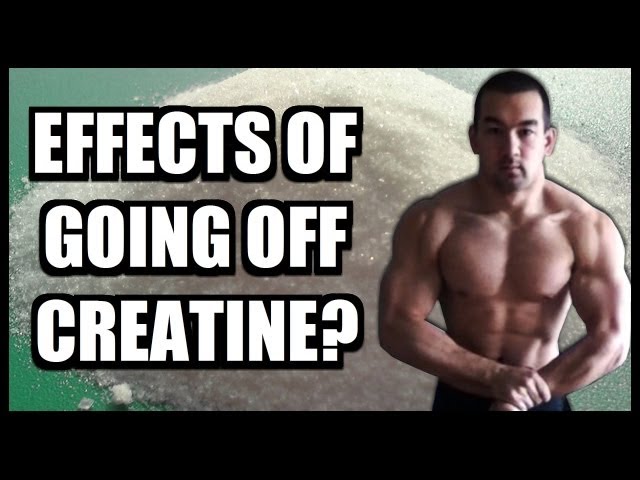 You are currently viewing “What Happens When I Stop Taking Creatine?”