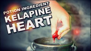 What Is A Kelapine Heart? Potion Ingredient