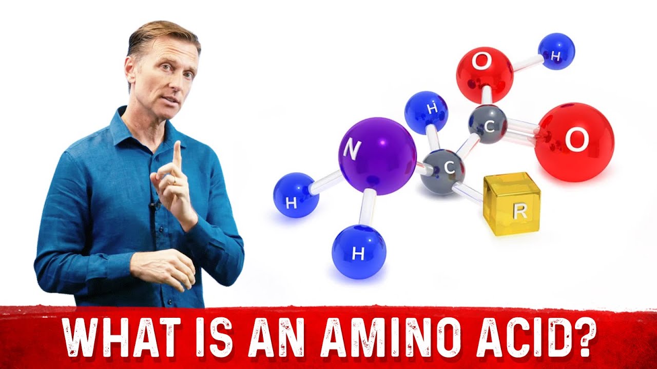 You are currently viewing What Is An Amino Acid? | Dr.Berg