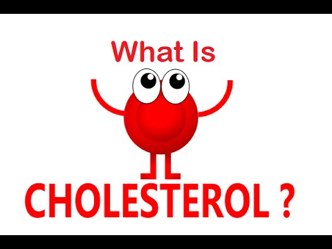 You are currently viewing What Is Cholesterol