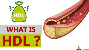 What Is HDL Cholesterol & Why it’s Called The Good Cholesterol? – by Dr Sam Robbins