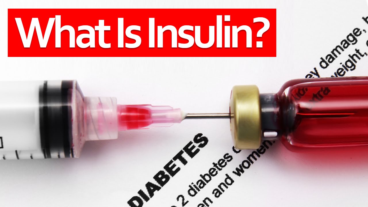 You are currently viewing What Is Insulin And What Does Insulin Do?