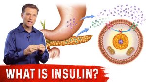 Read more about the article What Is Insulin? | Dr.Berg