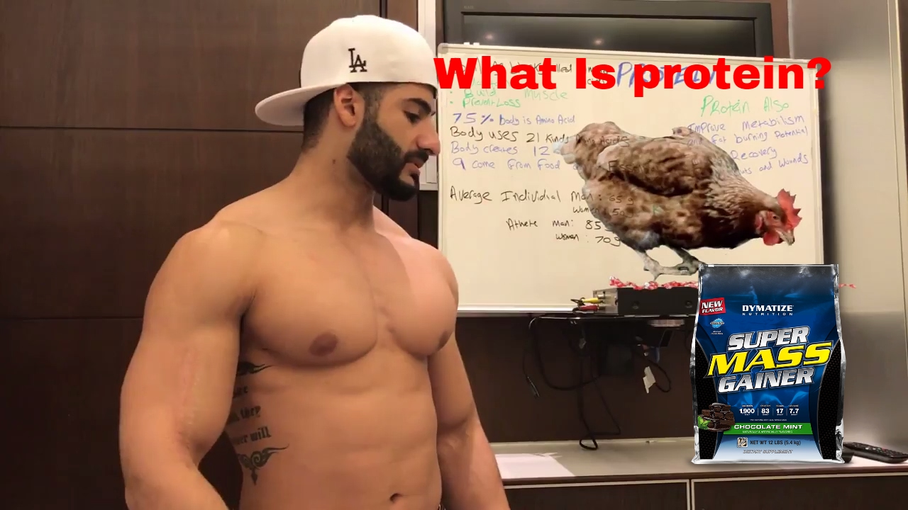 You are currently viewing What Is Protein?