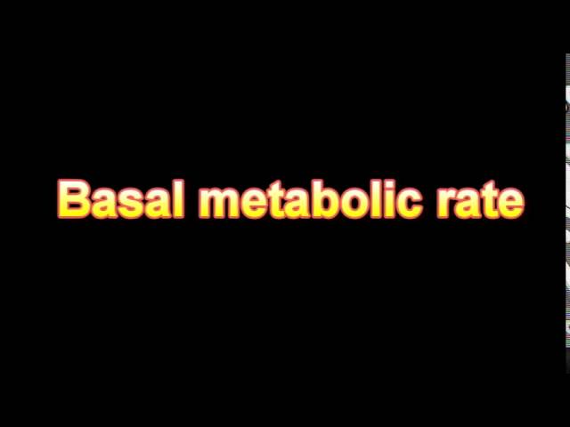 You are currently viewing What Is The Definition Of Basal metabolic rate Medical Dictionary Free Online