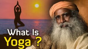 What Is Yoga Video – 6