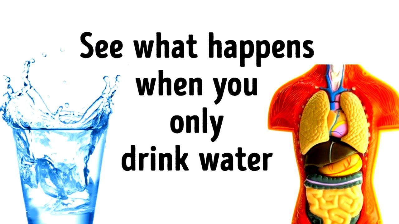 You are currently viewing What Would Happen If You Replaced All Drinks with Water?