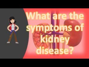 What are the symptoms of kidney disease ?