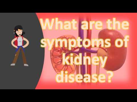You are currently viewing What are the symptoms of kidney disease ?
