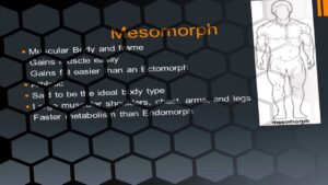 Read more about the article What body type am I? Mesomorph