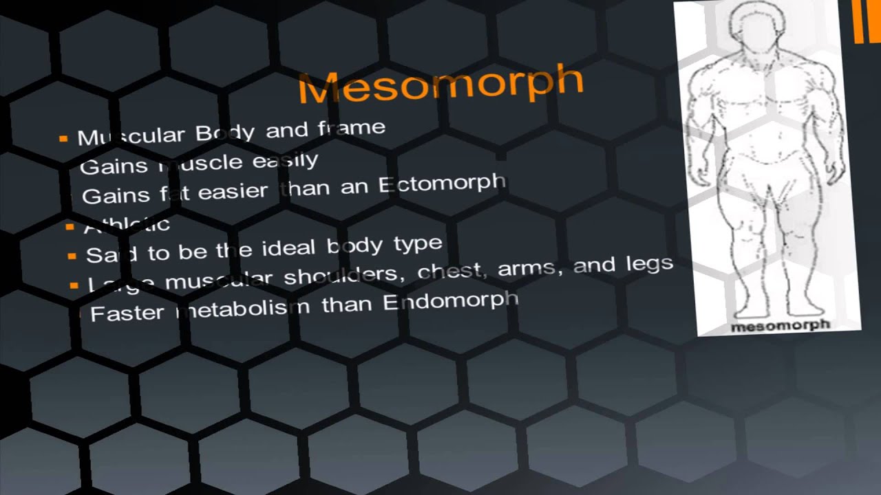 You are currently viewing What body type am I? Mesomorph