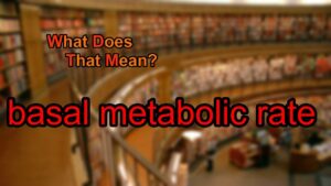 Read more about the article What does basal metabolic rate mean?