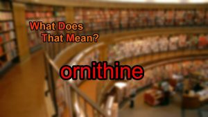 Read more about the article What does ornithine mean?