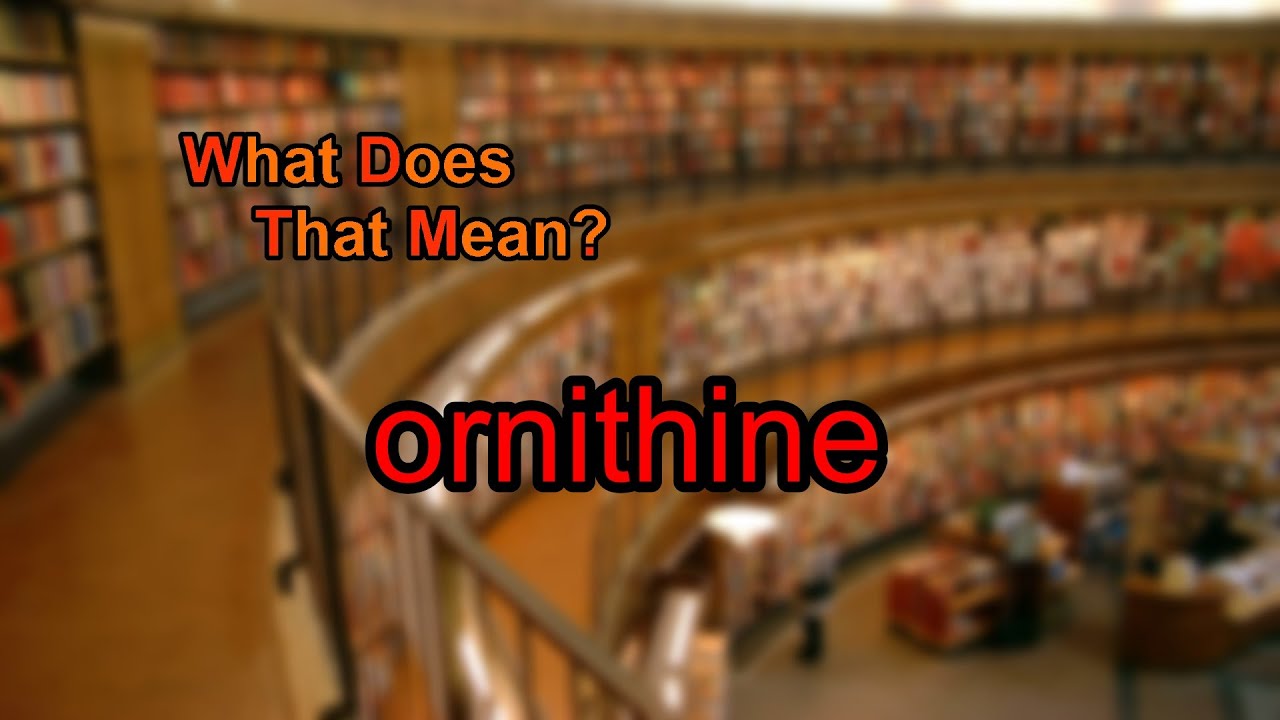 You are currently viewing What does ornithine mean?