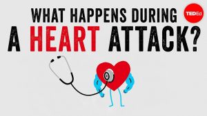What happens during a heart attack? – Krishna Sudhir