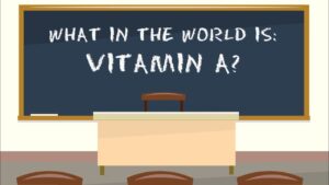 Read more about the article What in the world is Vitamin A?