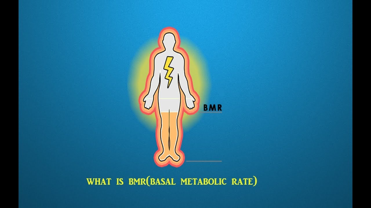 You are currently viewing What is BMR ?(Basal metabolic rate)