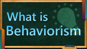 Behavioral Psychology Video – 2