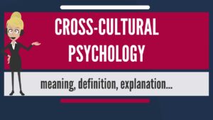 Cross-Cultural Psychiatry Video – 2