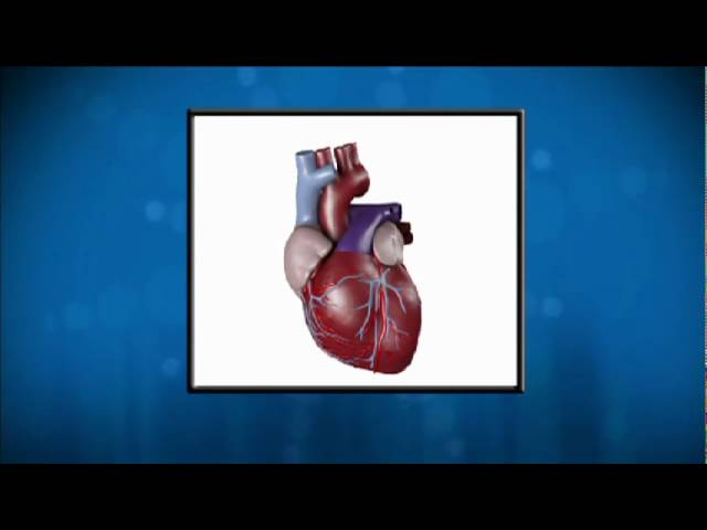 You are currently viewing What is Cardiovascular Disease? Doctor Akshay Khandelwal Explains