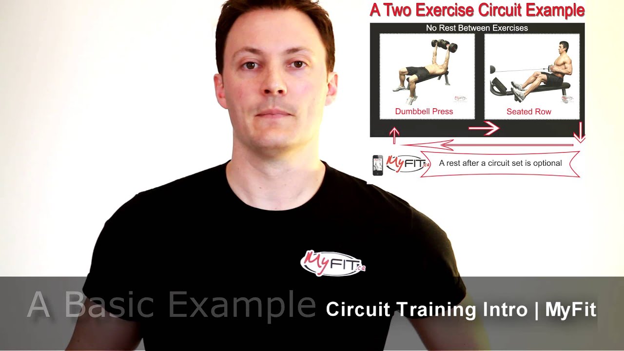 You are currently viewing What is Circuit Training? | MyFit  (2 Minutes) Examples and More