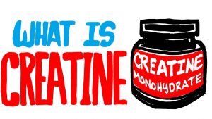 Read more about the article What is Creatine? Should You Be Taking This Supplement?