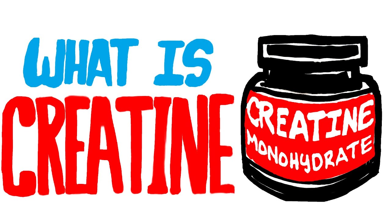You are currently viewing What is Creatine? Should You Be Taking This Supplement?