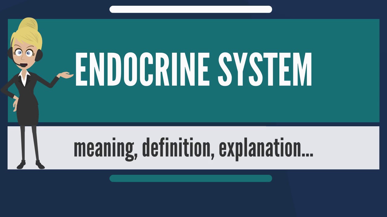 You are currently viewing What is ENDOCRINE SYSTEM? What does ENDOCRINE SYSTEM mean? ENDOCRINE SYSTEM meaning & explanation