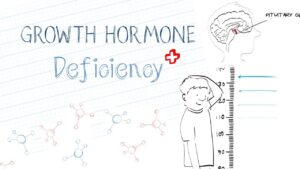 HGH, Growth Hormones & Plant Hormones Video – 1