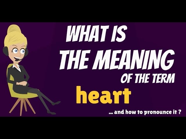 You are currently viewing What is HEART? HEART meaning & definition – HEART functions – How to pronounce HEART
